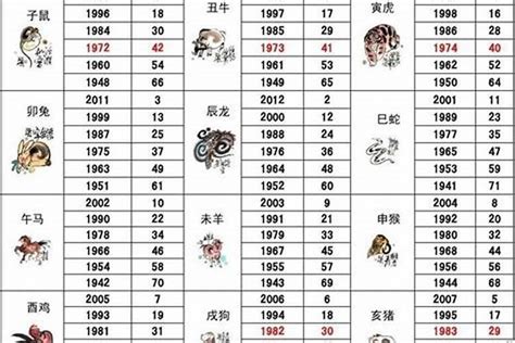 1971年属相|1971年出生的属什么,1971年是什么生肖